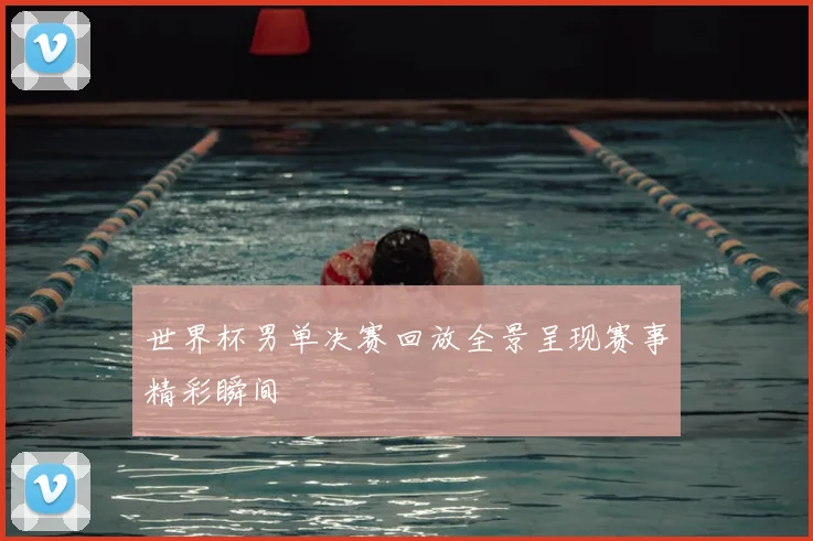 世界杯男单决赛回放全景呈现赛事精彩瞬间