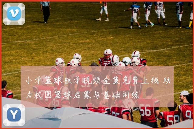 小学篮球教学视频全集免费上线 助力校园篮球启蒙与基础训练