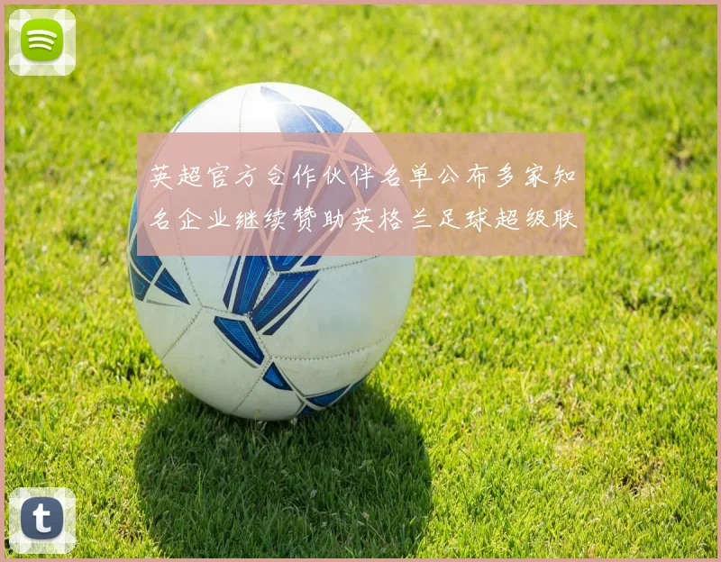 英超官方合作伙伴名单公布多家知名企业继续赞助英格兰足球超级联赛