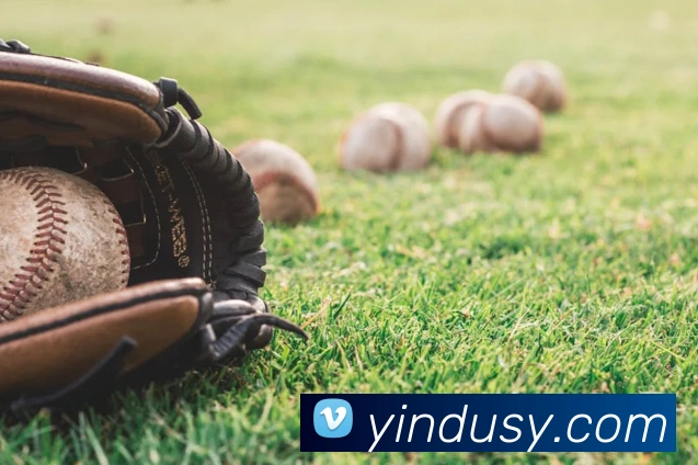 华体育会登录网官网发展历程